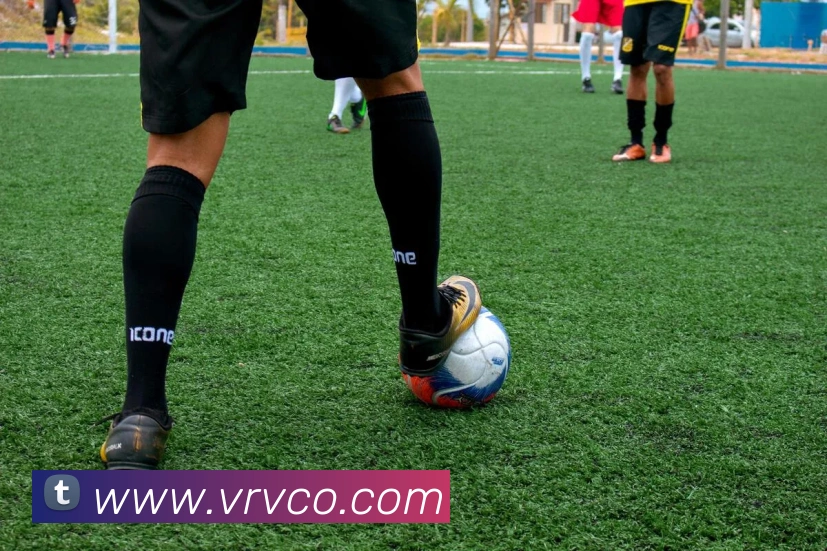 多媒体互动体验