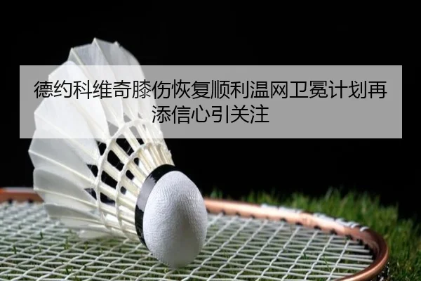 德约科维奇膝伤恢复顺利温网卫冕计划再添信心引关注